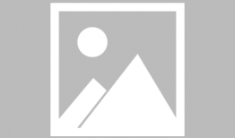 世界动漫排行榜,盘点年度最受欢迎的动漫佳作